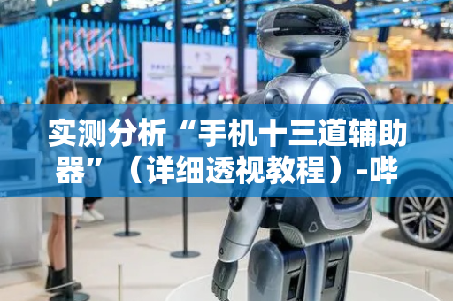实测分析“手机十三道辅助器”（详细透视教程）-哔哩哔哩