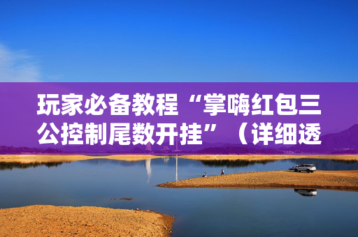 玩家必备教程“掌嗨红包三公控制尾数开挂”（详细透视教程）-哔哩哔哩