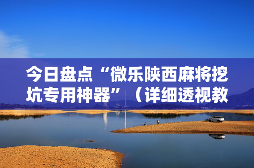 今日盘点“微乐陕西麻将挖坑专用神器”（详细透视教程）-哔哩哔哩