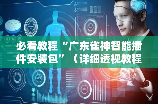 必看教程“广东雀神智能插件安装包”（详细透视教程）-哔哩哔哩