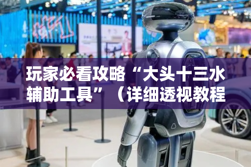 玩家必看攻略“大头十三水辅助工具”（详细透视教程）-哔哩哔哩