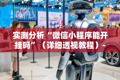 实测分析“微信小程序能开挂吗”（详细透视教程）-哔哩哔哩