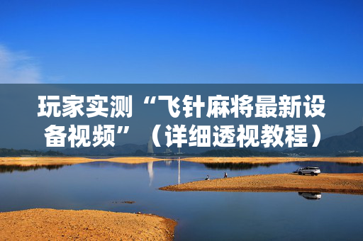 玩家实测“飞针麻将最新设备视频”（详细透视教程）-哔哩哔哩