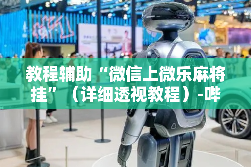 教程辅助“微信上微乐麻将挂”（详细透视教程）-哔哩哔哩