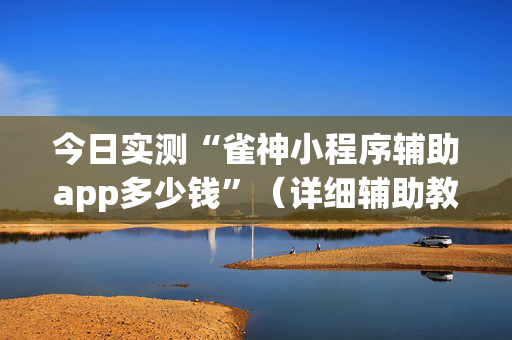 今日实测“雀神小程序辅助app多少钱”（详细辅助教程）-哔哩哔哩
