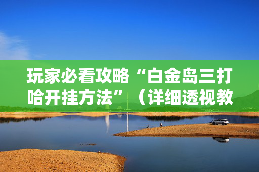 玩家必看攻略“白金岛三打哈开挂方法”（详细透视教程）-哔哩哔哩