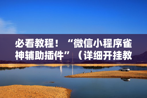 必看教程！“微信小程序雀神辅助插件”（详细开挂教程）-哔哩哔哩