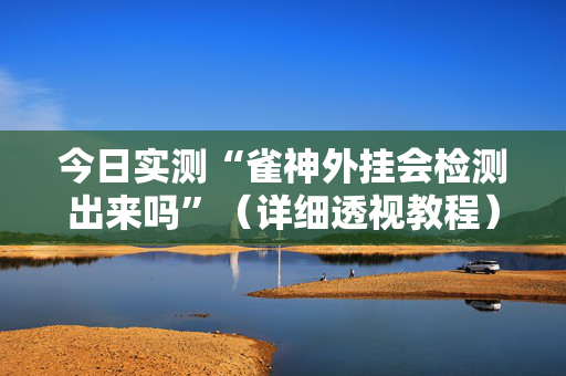 今日实测“雀神外挂会检测出来吗”（详细透视教程）-哔哩哔哩