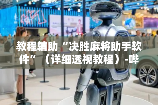 教程辅助“决胜麻将助手软件”（详细透视教程）-哔哩哔哩