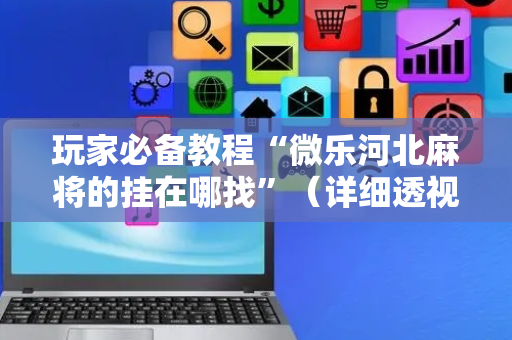 玩家必备教程“微乐河北麻将的挂在哪找”（详细透视教程）-哔哩哔哩