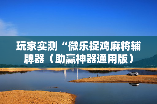 玩家实测“微乐捉鸡麻将辅牌器（助赢神器通用版）