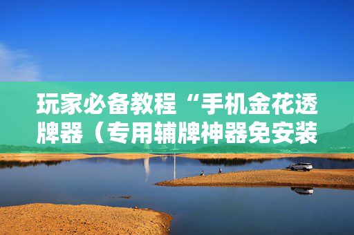 玩家必备教程“手机金花透牌器（专用辅牌神器免安装）