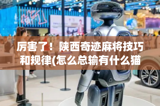 厉害了！陕西奇迹麻将技巧和规律(怎么总输有什么猫腻)