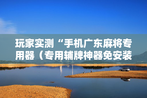 玩家实测“手机广东麻将专用器（专用辅牌神器免安装）