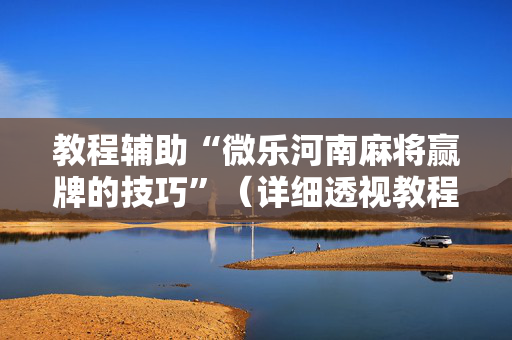 教程辅助“微乐河南麻将赢牌的技巧”（详细透视教程）-哔哩哔哩