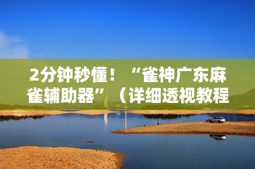 2分钟秒懂！“雀神广东麻雀辅助器”（详细透视教程）-哔哩哔哩