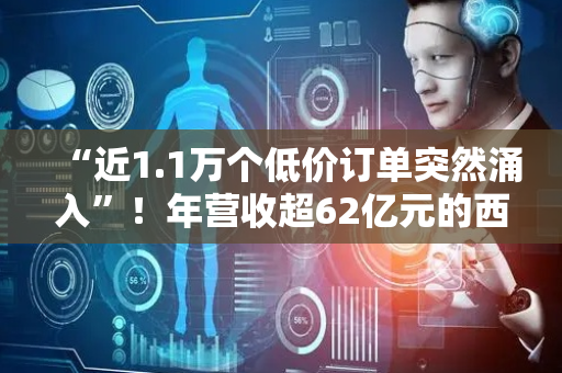 “近1.1万个低价订单突然涌入”！年营收超62亿元的西贝老板贾国龙喊话：“疯狂！完全被裹挟，请外卖平台把定价权还给商家”