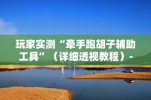 玩家实测“牵手跑胡子辅助工具”（详细透视教程）-哔哩哔哩
