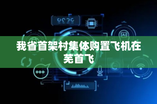 我省首架村集体购置飞机在芜首飞