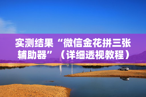 实测结果“微信金花拼三张辅助器”（详细透视教程）-哔哩哔哩