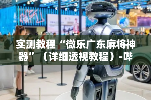 实测教程“微乐广东麻将神器”（详细透视教程）-哔哩哔哩