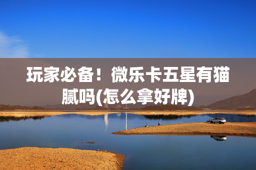 玩家必备！微乐卡五星有猫腻吗(怎么拿好牌)