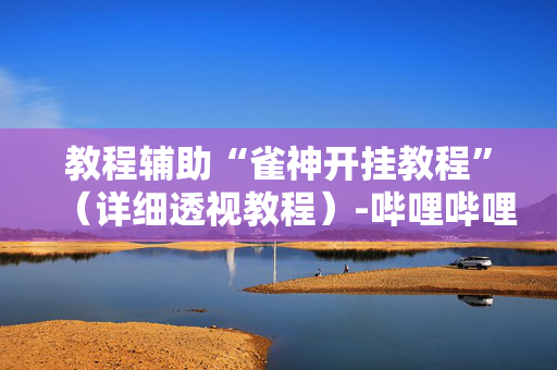 教程辅助“雀神开挂教程”（详细透视教程）-哔哩哔哩