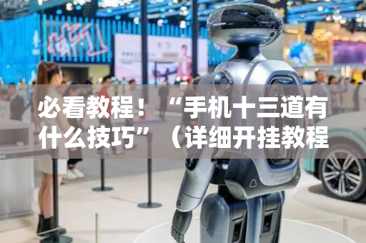 必看教程！“手机十三道有什么技巧”（详细开挂教程）-哔哩哔哩