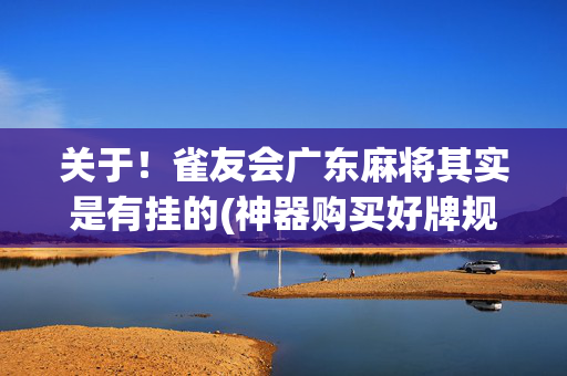 关于！雀友会广东麻将其实是有挂的(神器购买好牌规律)
