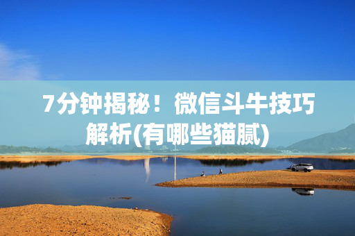 7分钟揭秘！微信斗牛技巧解析(有哪些猫腻)