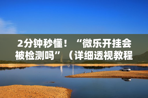 2分钟秒懂！“微乐开挂会被检测吗”（详细透视教程）-哔哩哔哩