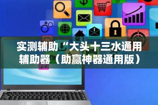 实测辅助“大头十三水通用辅助器（助赢神器通用版）