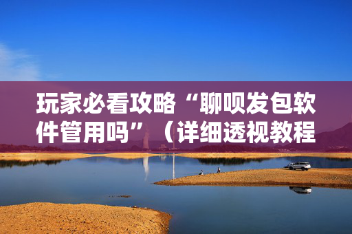 玩家必看攻略“聊呗发包软件管用吗”（详细透视教程）-哔哩哔哩