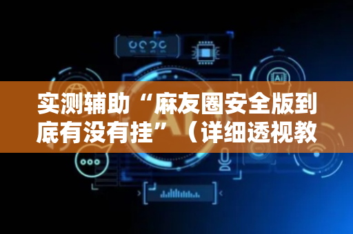 实测辅助“麻友圈安全版到底有没有挂”（详细透视教程）-哔哩哔哩