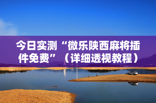 今日实测“微乐陕西麻将插件免费”（详细透视教程）-哔哩哔哩