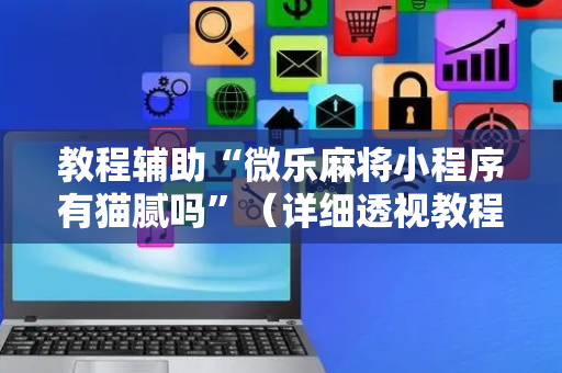 教程辅助“微乐麻将小程序有猫腻吗”（详细透视教程）-哔哩哔哩
