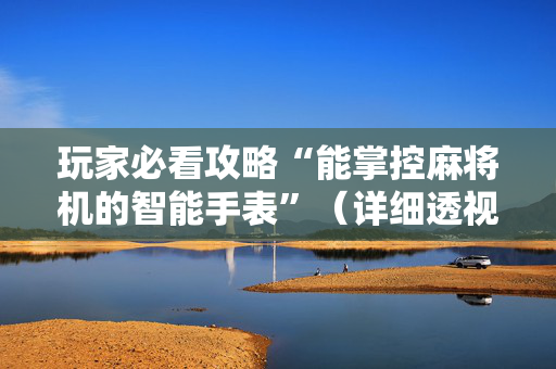玩家必看攻略“能掌控麻将机的智能手表”（详细透视教程）-哔哩哔哩