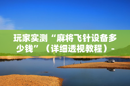 玩家实测“麻将飞针设备多少钱”（详细透视教程）-哔哩哔哩