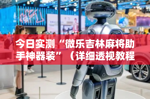 今日实测“微乐吉林麻将助手神器装”（详细透视教程）-哔哩哔哩
