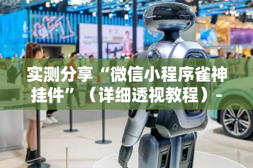 实测分享“微信小程序雀神挂件”（详细透视教程）-哔哩哔哩