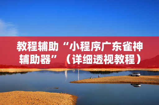 教程辅助“小程序广东雀神辅助器”（详细透视教程）-哔哩哔哩