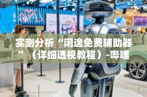 实测分析“闲逸免费辅助器”（详细透视教程）-哔哩哔哩