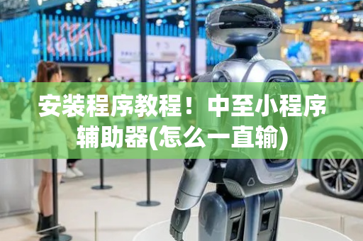 安装程序教程！中至小程序辅助器(怎么一直输)