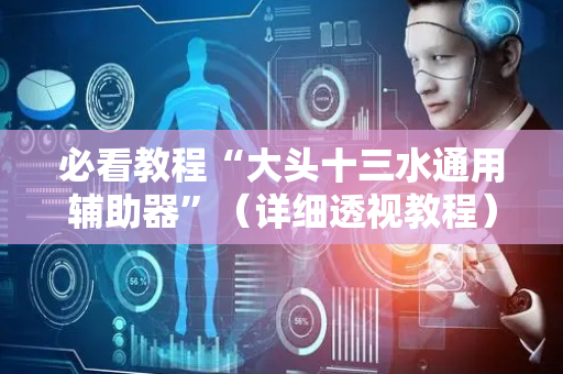 必看教程“大头十三水通用辅助器”（详细透视教程）-哔哩哔哩