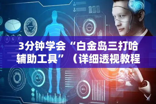 3分钟学会“白金岛三打哈辅助工具”（详细透视教程）-哔哩哔哩