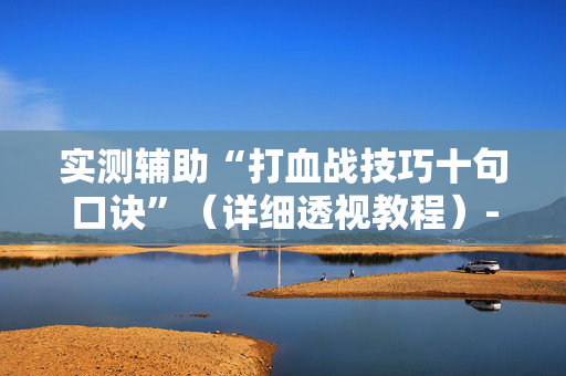 实测辅助“打血战技巧十句口诀”（详细透视教程）-哔哩哔哩