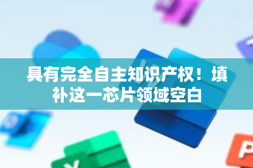 具有完全自主知识产权！填补这一芯片领域空白