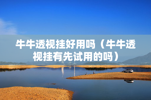 牛牛透视挂好用吗（牛牛透视挂有先试用的吗）