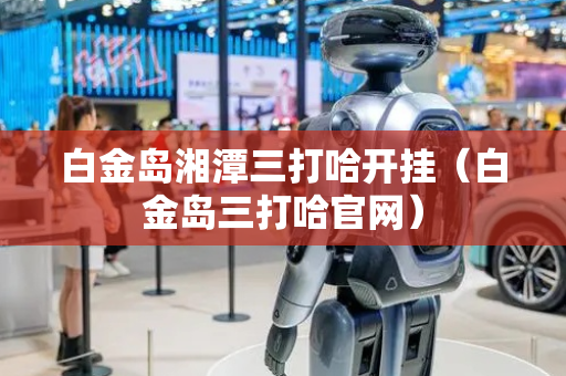 白金岛湘潭三打哈开挂（白金岛三打哈官网）