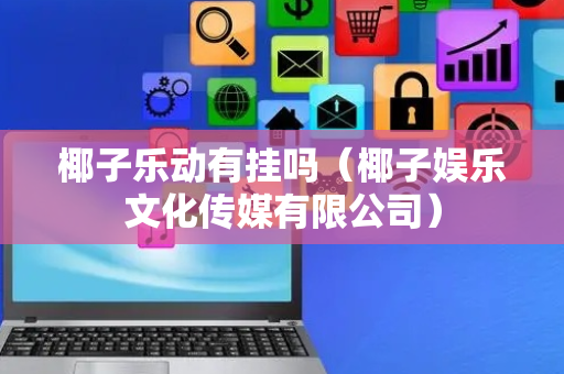椰子乐动有挂吗（椰子娱乐文化传媒有限公司）